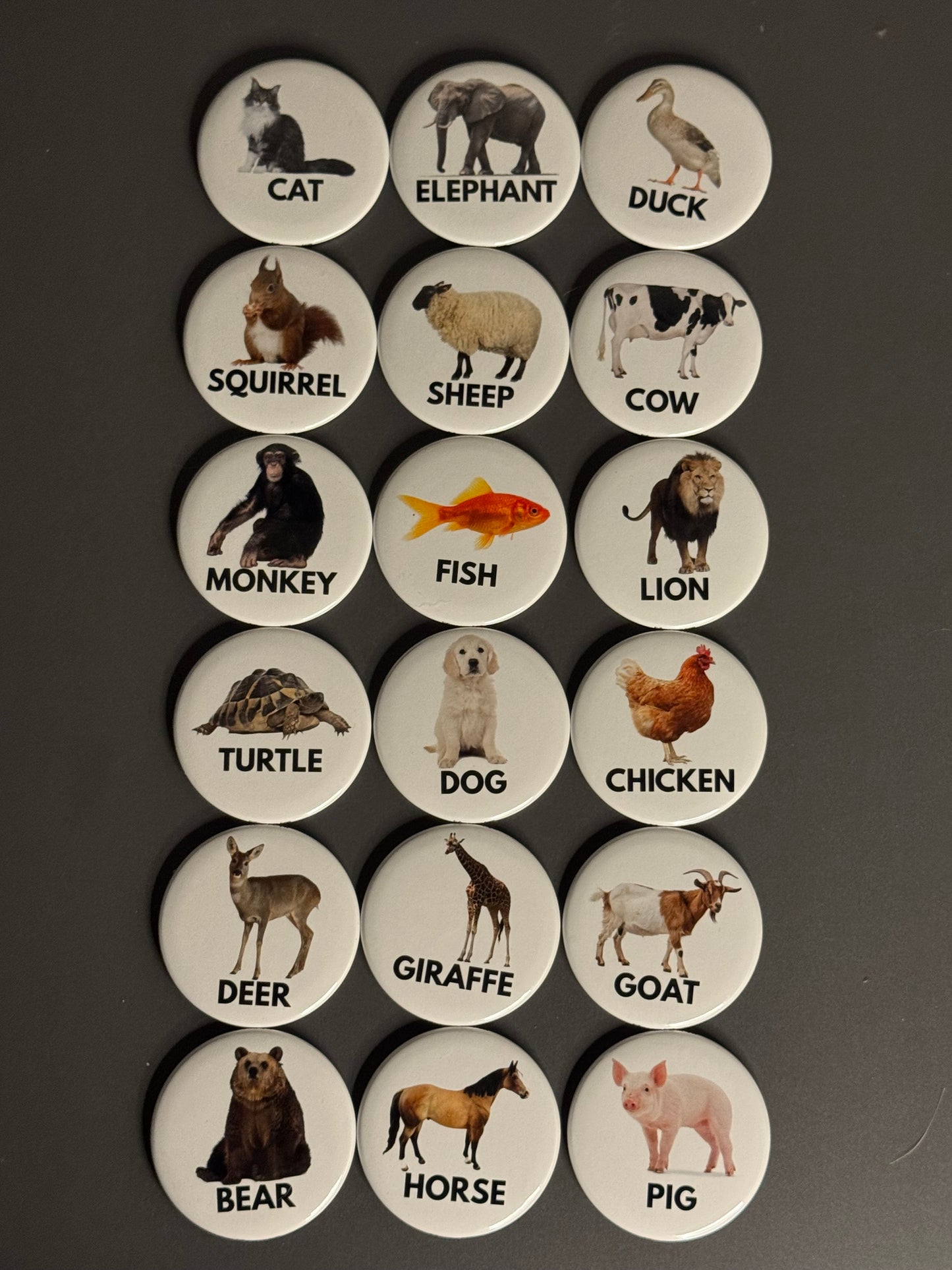 Baby Magnet Set